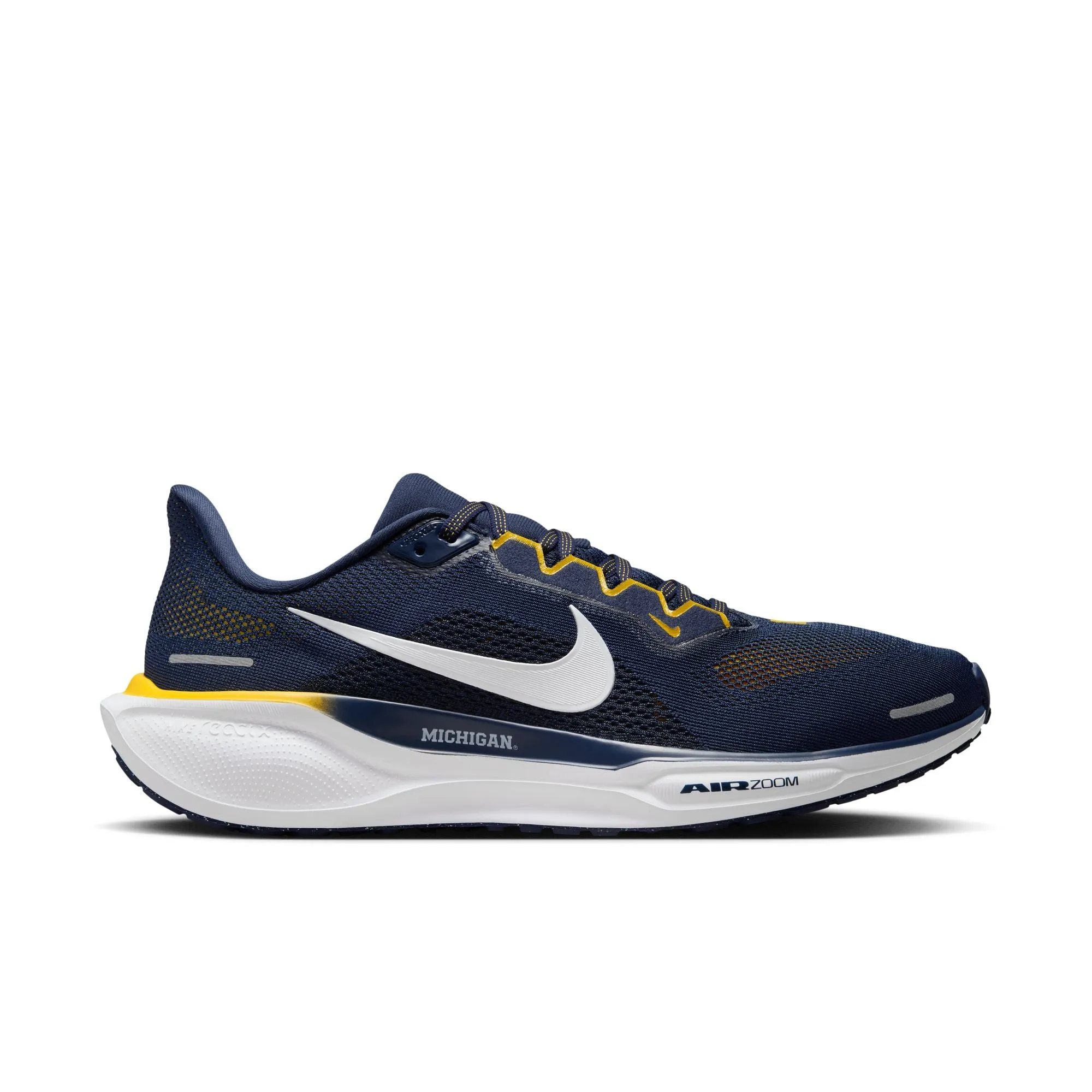 Air Zoom Pegasus 41 Michigan