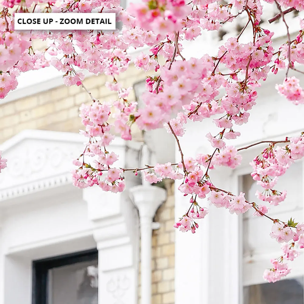 Cherry Blossoms in London II - Art Print by Victoria's Stories